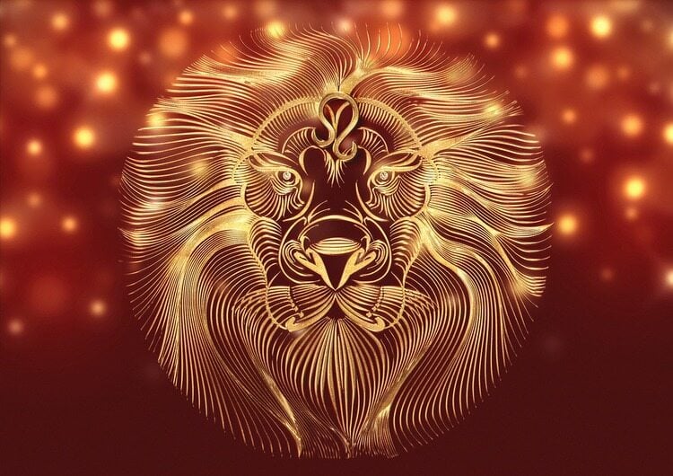 Ilustração de um leão em um fundo alaranjado