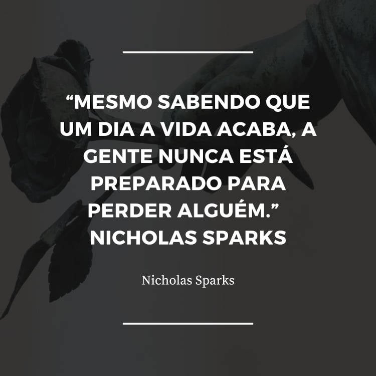 Frase de Nicholas Sparks escrita sobre foto em preto e branco de rosa