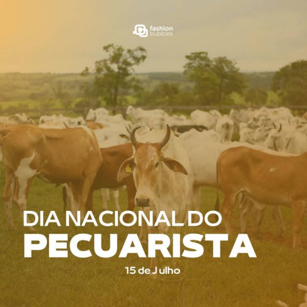 15 de julho é Dia Internacional do Homem. As datas comemorativas de ...