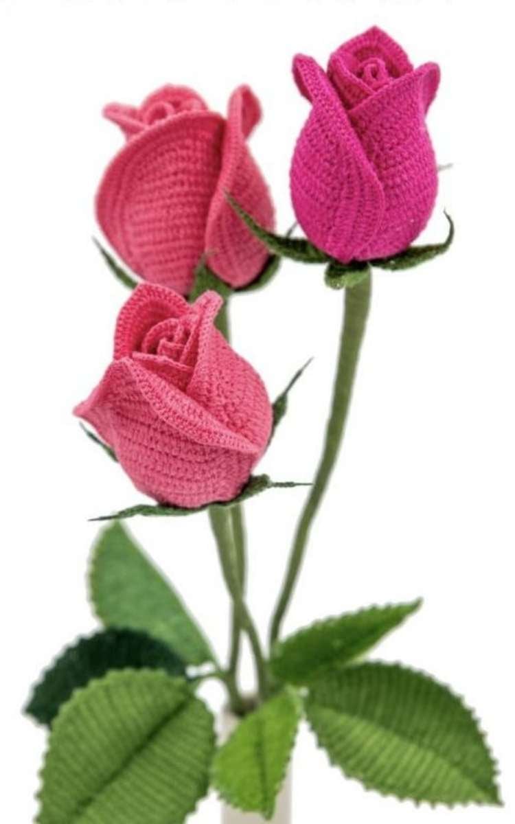 Foto de rosas botões de crochê.
