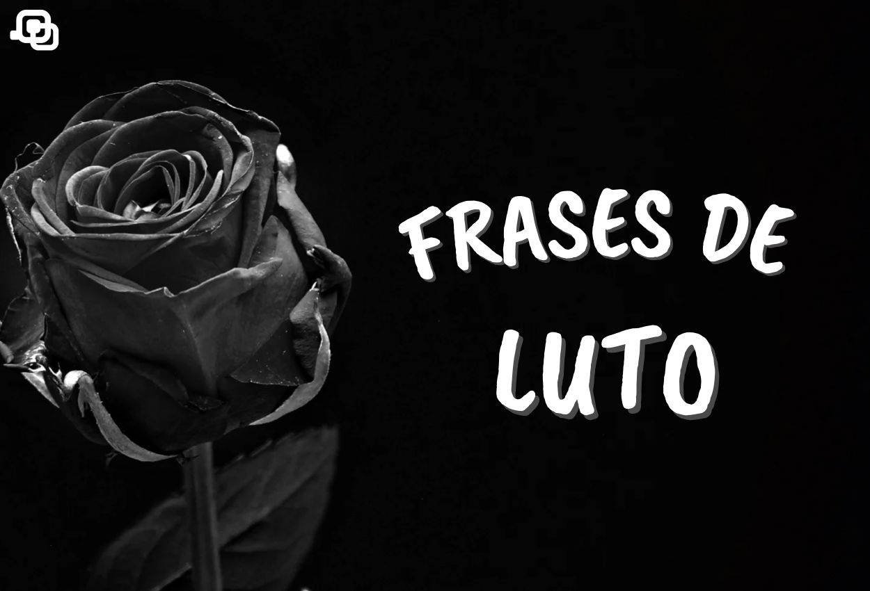 Frases de luto: foto com rosa em preto e branco