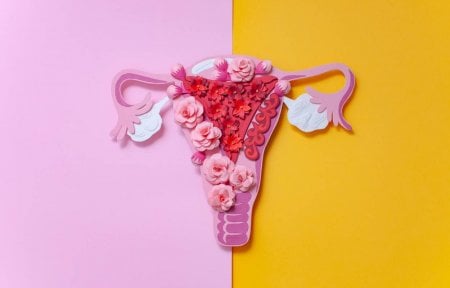 Endometriose: o que é, quais os sintomas e como tratar a doença