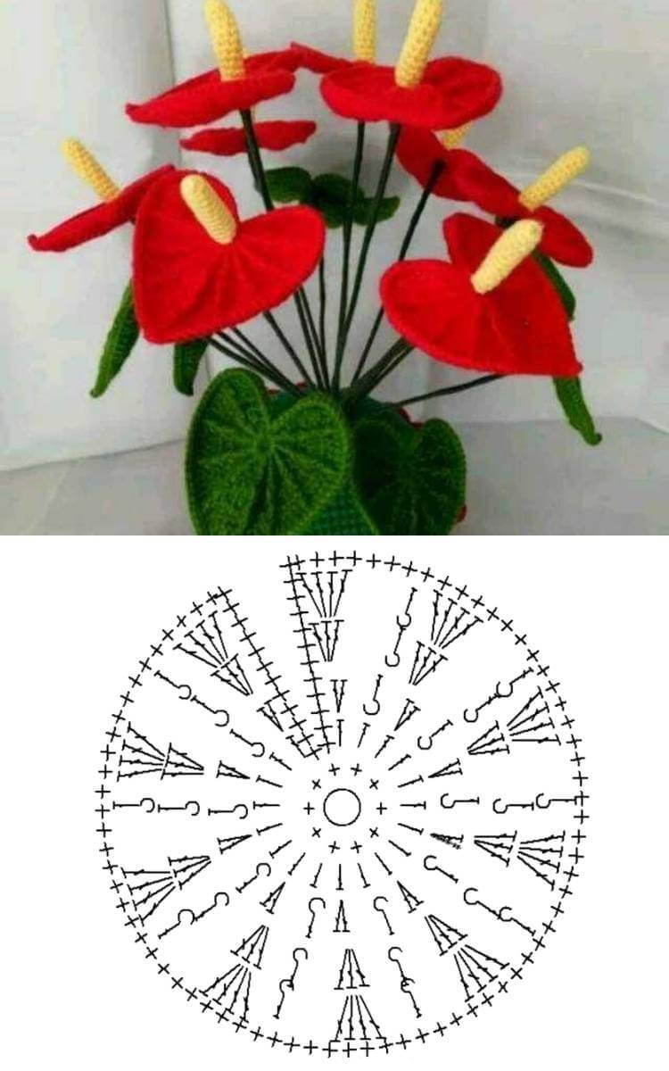 Foto de gráfico de crochê de flor de antúrio. 