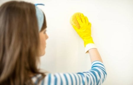 Como tirar o mofo da parede: 5 soluções simples e rápidas