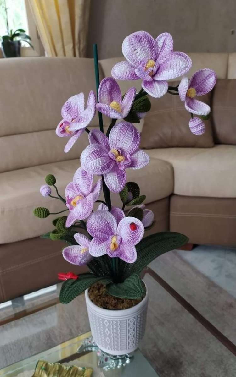 Foto de orquídea de crochê.