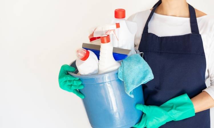 Produtos para limpar parede. Mulher com produtos para tirar mofo da parede.