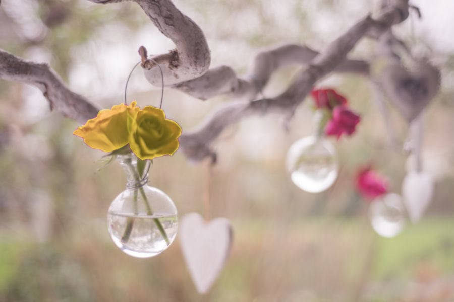 vaso redondo de vidro com água e flores pendurado em galho de árvore com arame