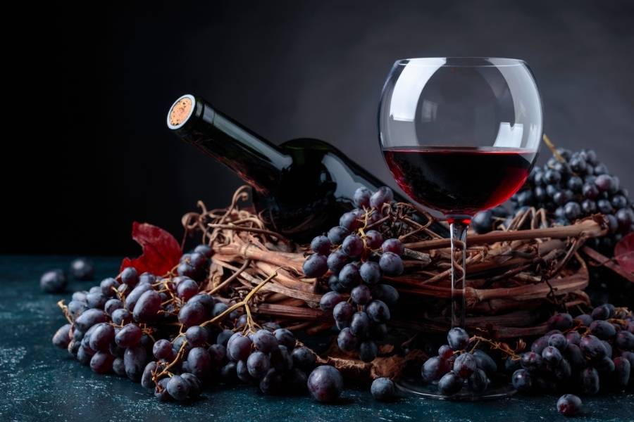 Benefícios do vinho são graças ao antioxidantes das uvas. 