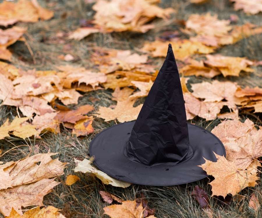 Chapéu preto de bruxa no chão gramado com folhas secas de árvore caídas,