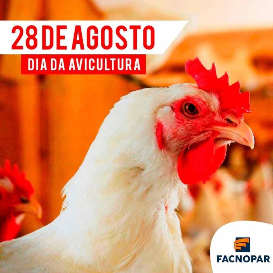 "28 de agosto - Dia da Avicultura" escrito em foto de galinha no galpão de galinhas.