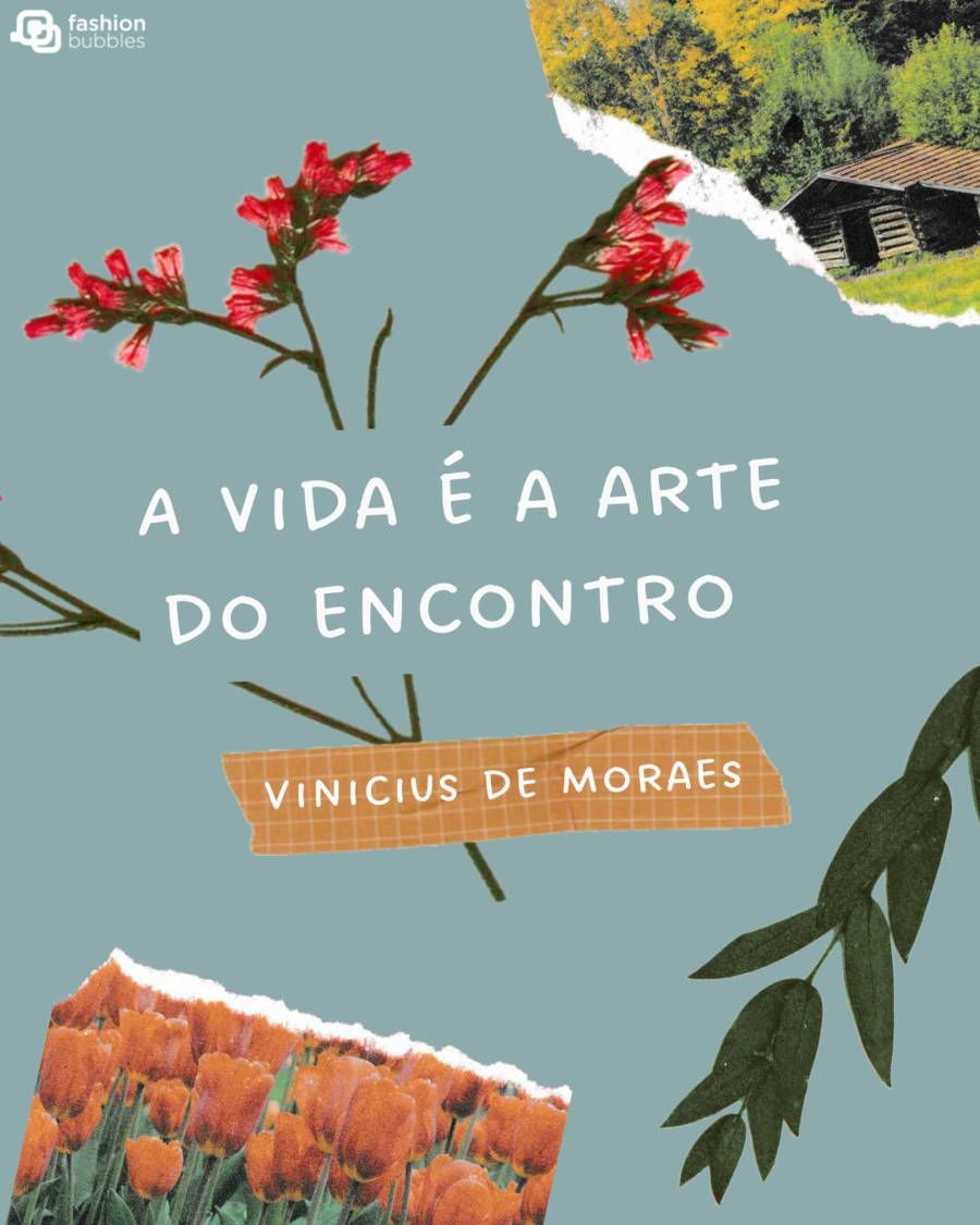 Trecho de música nacional para selfie: A vida é a arte do encontro - Vinicius de Moraes