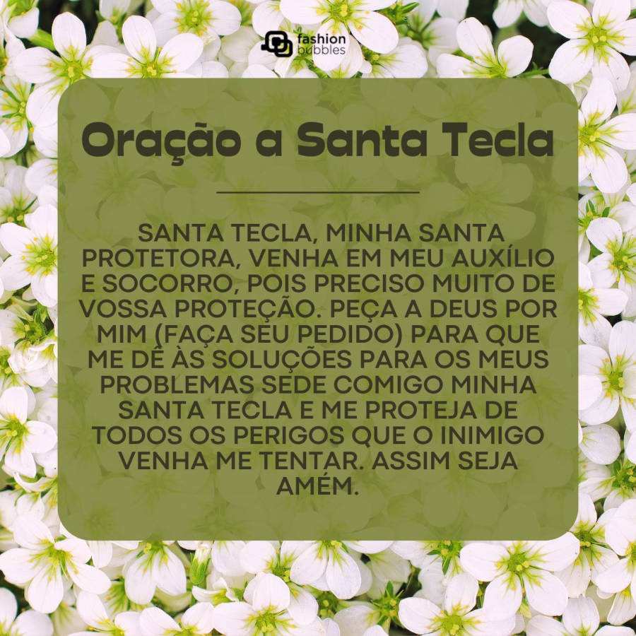 Foto de margaridas verdes e brancas com a Oração a Santa Tecla em destaque