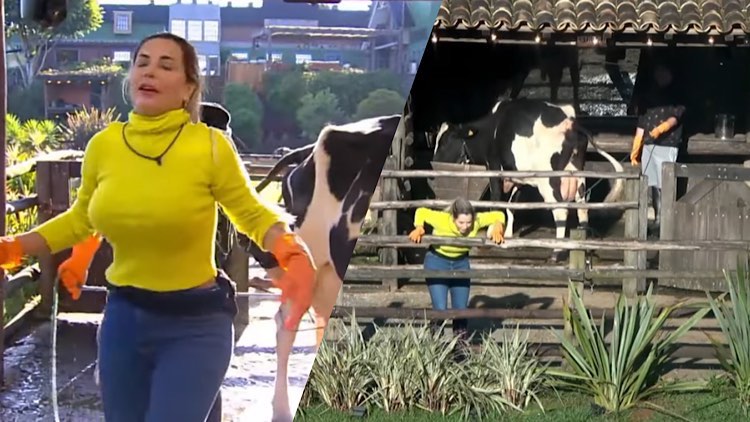 Deolane paralisa as atividades com a vaca, após animal defecar durante o processo.