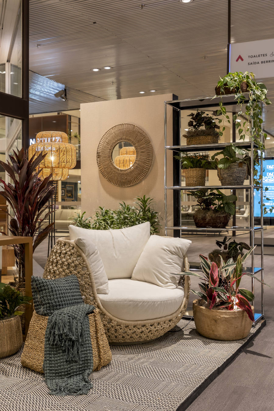 Jardim pequeno com plantas em prateleiras.