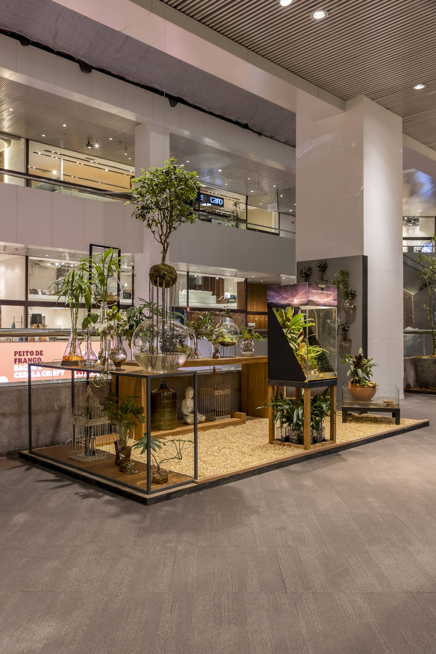 Jardim com plantas em vasos de vidro.