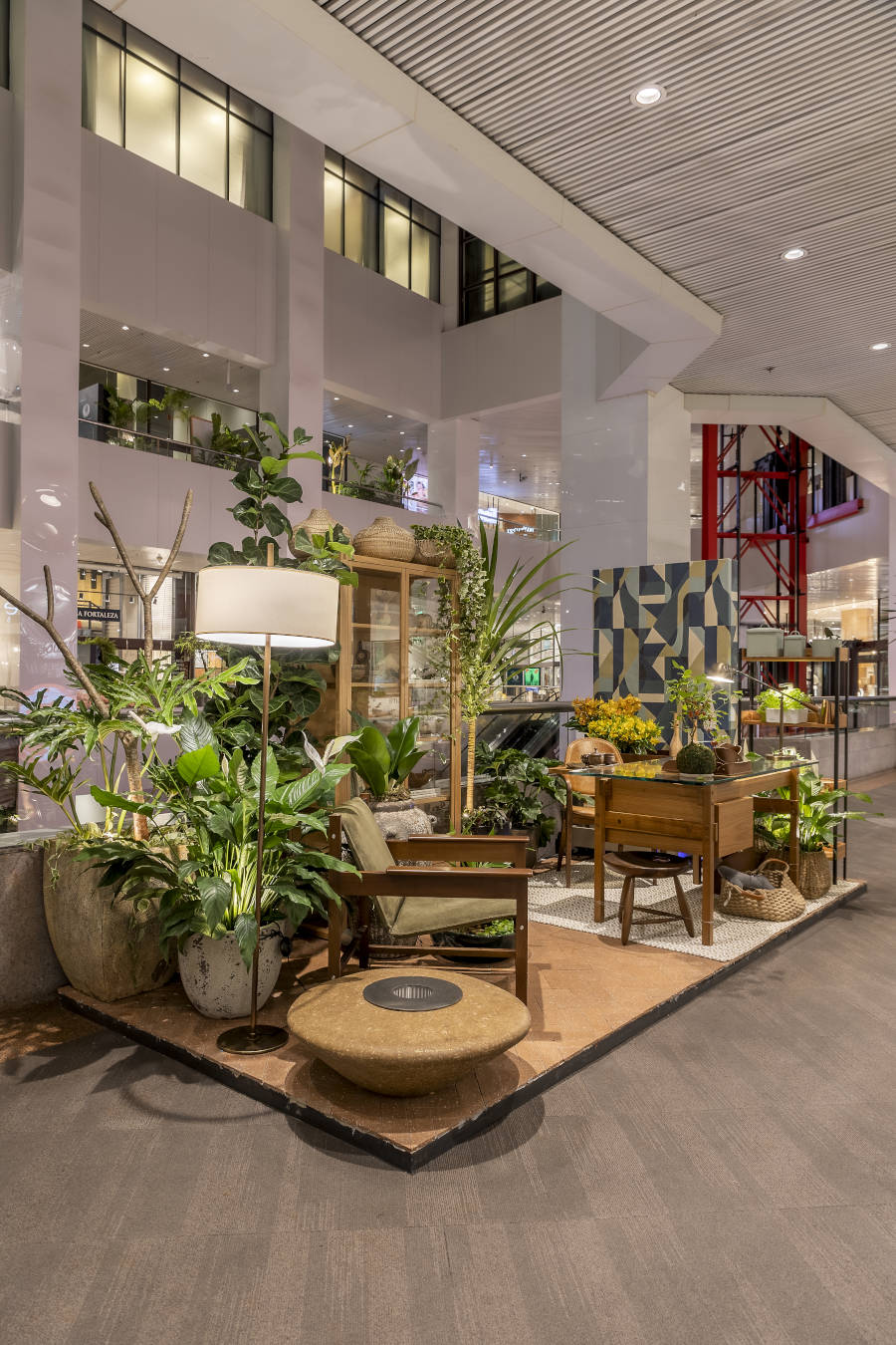Espaço com plantas de diferentes alturas na D&D Garden Design.