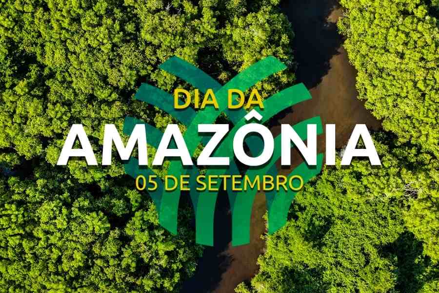 Foto de floresta e rio da Amazônia fotografados de cima.