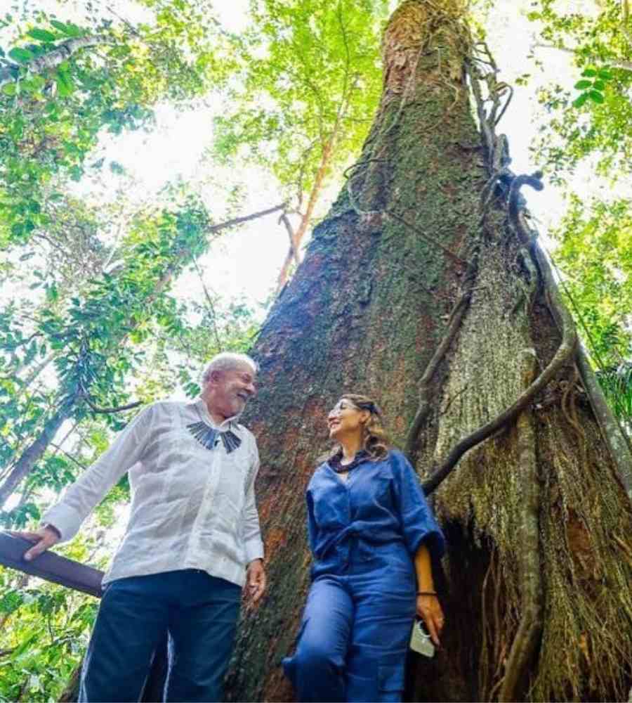 Foto de Lula e Janja tirada do chão para cima. Os dois estão próximos de árvore gigante do Amazonas. Eles se olham.