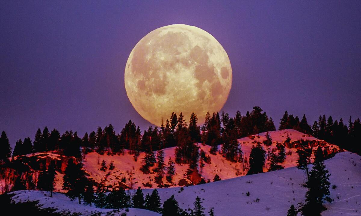 para representar as luas de novembro há uma grande lua cheia em um local com pinheiros e neve
