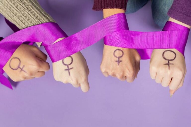 mulheres na política