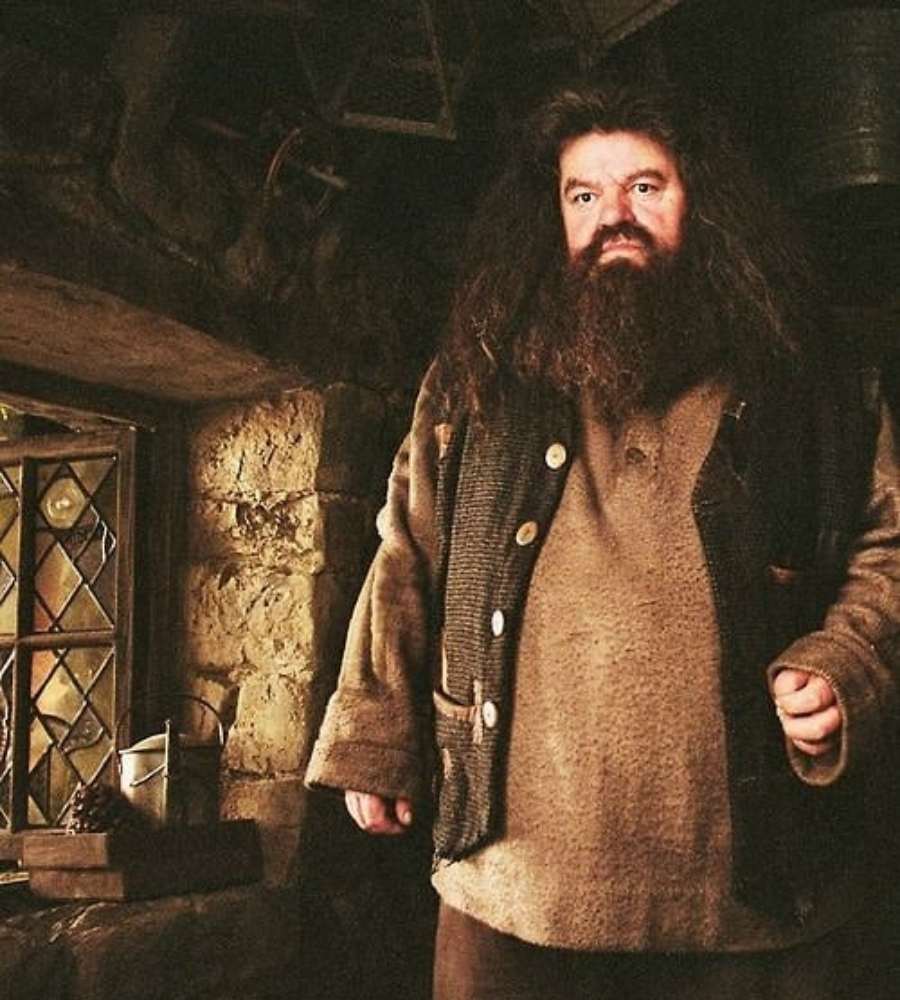 Imagem com fundo de casa de pedra e janela de vidro. Ator Robbie Coltrane
como Hagrid no filme Harry Potter, usando roupa de manga comprida. 