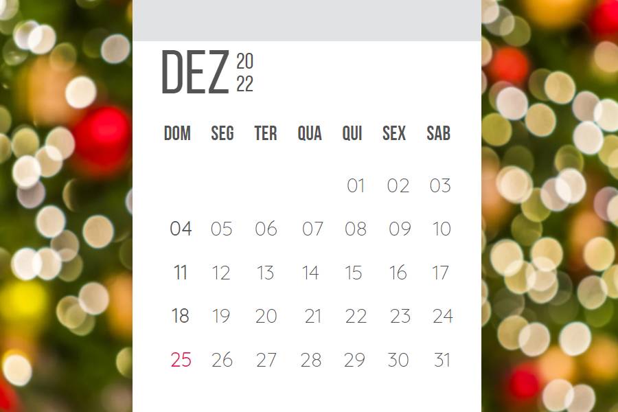 Calendário de dezembro de 2022: feriados e datas comemorativas | Fashion  Bubbles