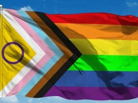 Nova bandeira LGBTQIA+: conheça o significado das cores incluídas