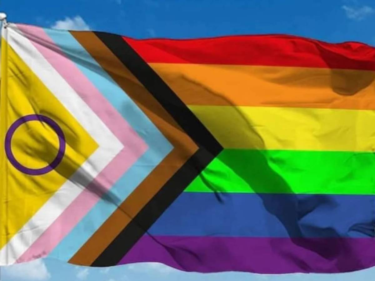 Nova bandeira LGBTQIA+.