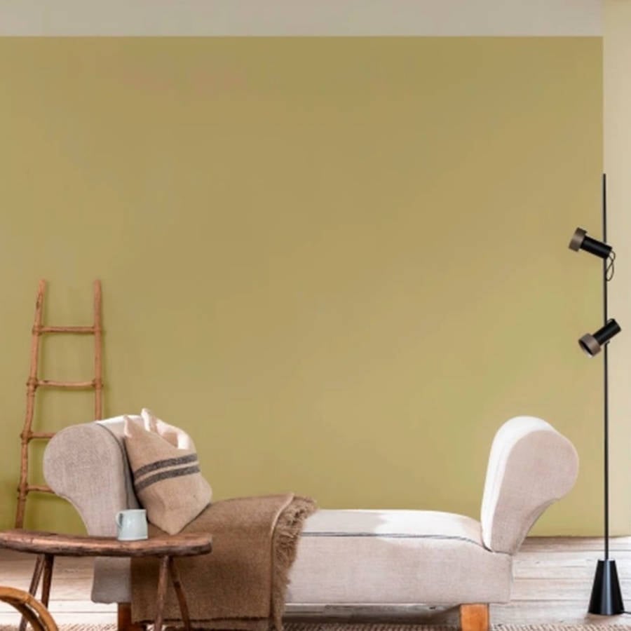 Sala com parede pintada com Coral.