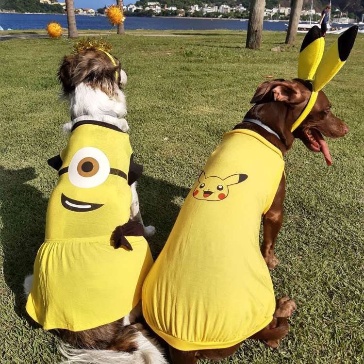 Dois cachorros de costas, um fantasiado de Minion e outro de Pikachu. 