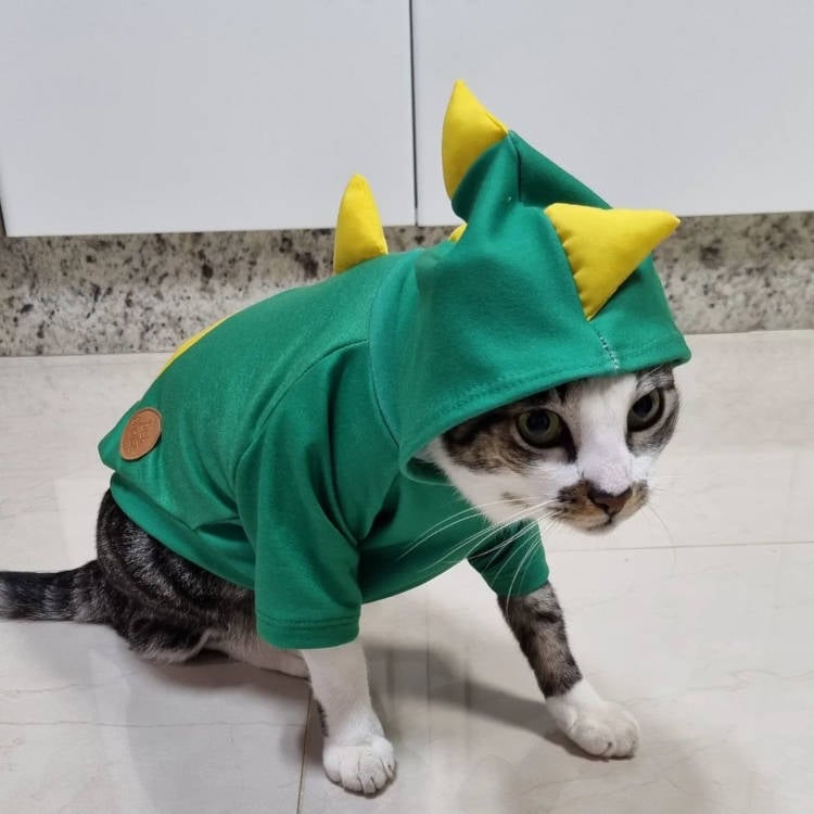 Carnaval com pet: Gato vestido de dragão.