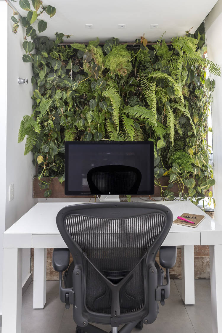 Home office com plantas.