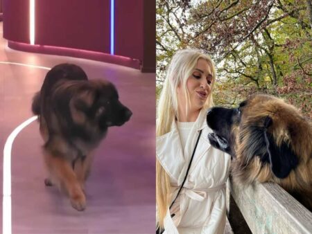 Foto de participante de Big Brother holândes com seu cachorro que entrou na casa e gerou polêmica no Brasil.