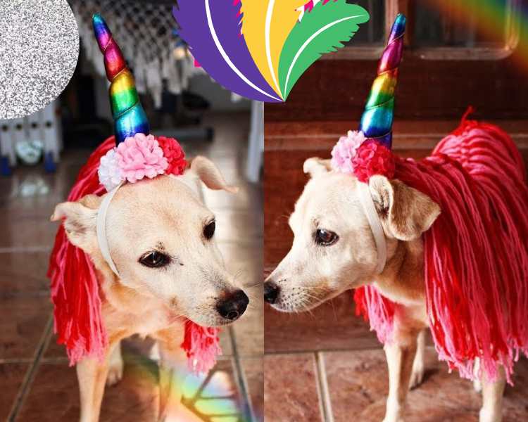 Cachorro com fantasia de unicórnio para o Carnaval.