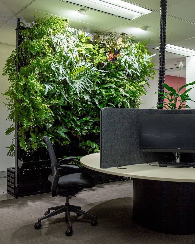 Divisória de escritório com jardim vertical.