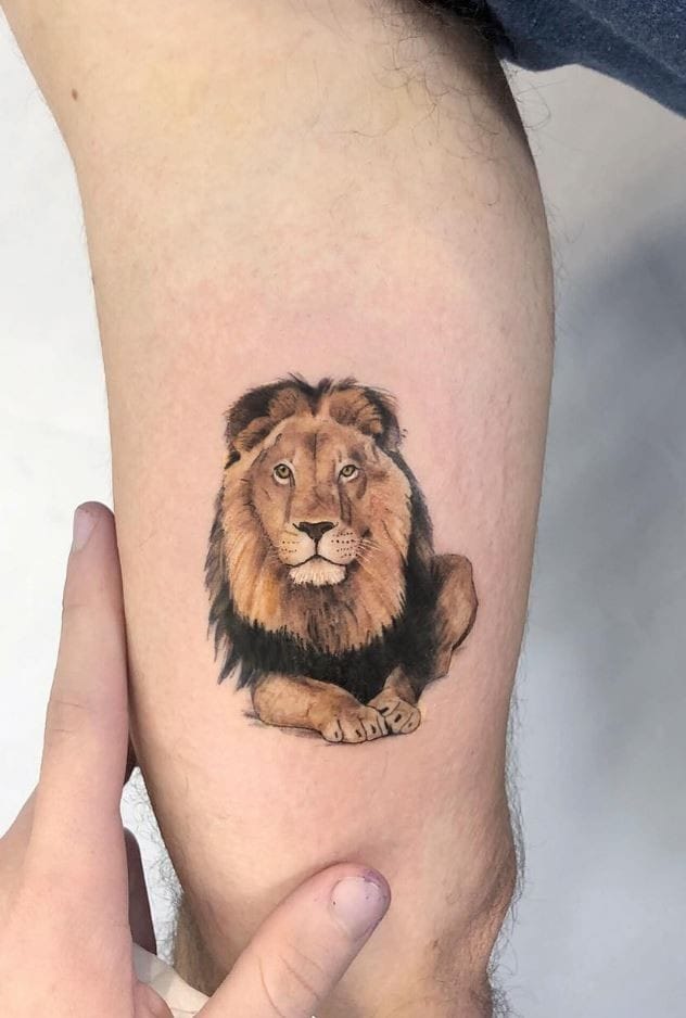 Tatuagem colorida leão, corpo completo