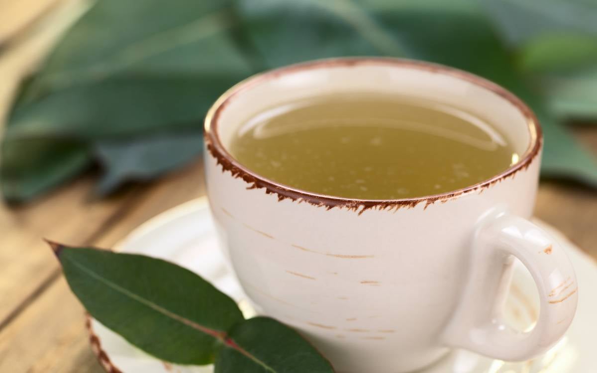 Chá para garganta inflamada: eucalipto.