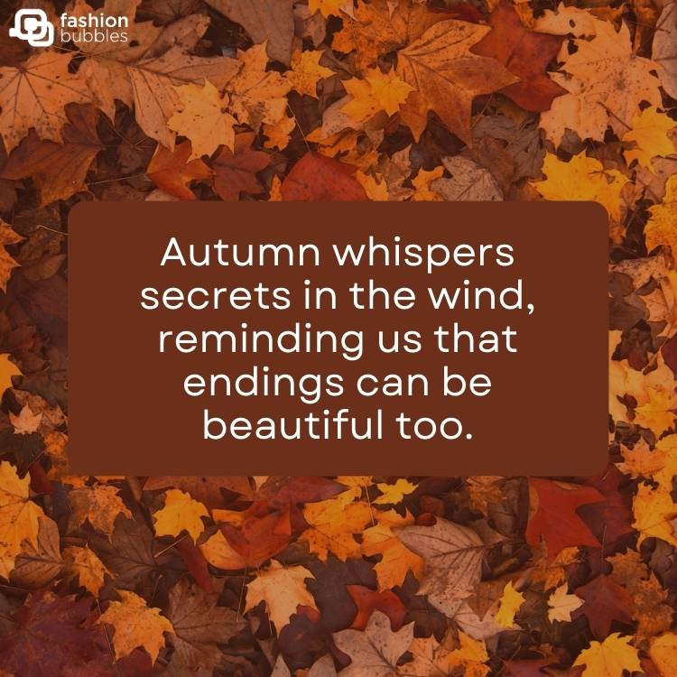 Fundo de folhas alaranjadas com retângulo marrom escrito "Autumn whispers secrets in the wind, reminding us that endings can be beautiful too. " em branco.