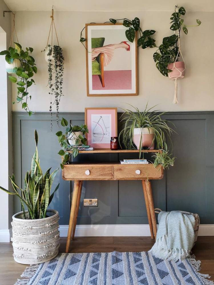 Espaço com parede metade branca e metade cinza, aparador de madeira com vasos de plantas, vaso no chão, plantas suspensas e quadro rosa.