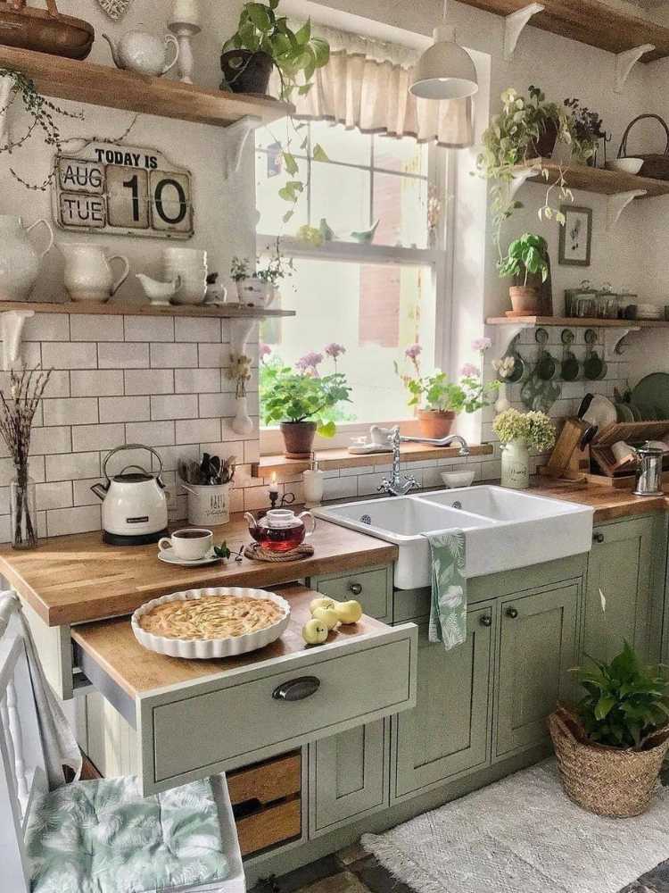 Coxinha com armários em verde claro, itens de cozinha, janela, torta e plantas 