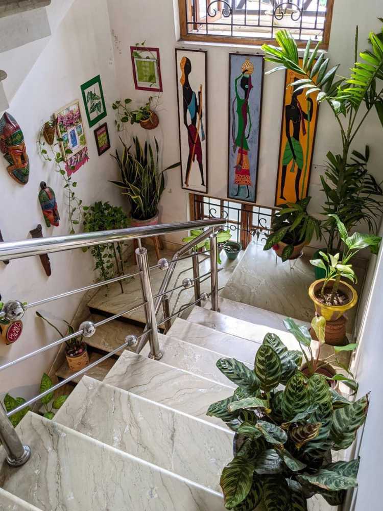 Foto de escada branca decorada com vasos de plantas e quadros na parede 