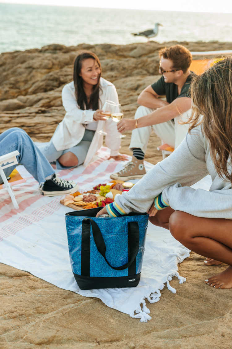 picnic na praia