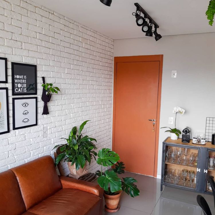 Sala branca com quadros pretos, plantas, porta e sofá na cor terracota