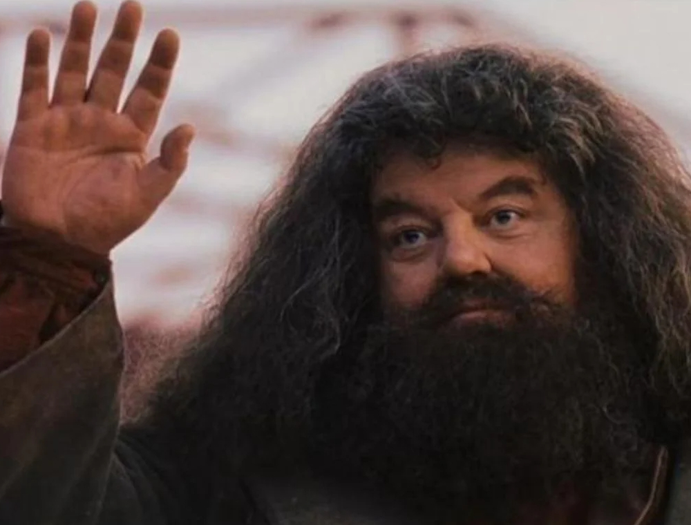Robbie deu vida à Rúbeo Hagrid