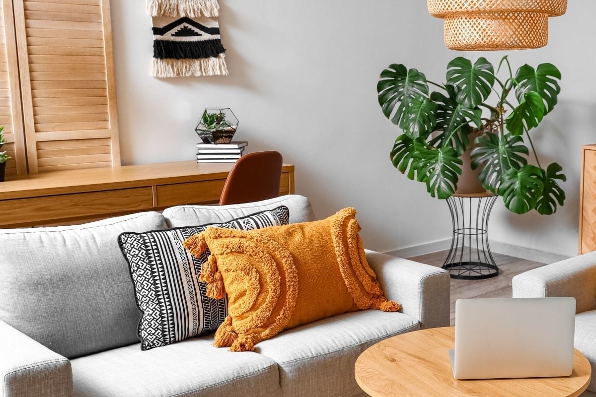 Foto de sala de estar decorada com planta costela-de-adão