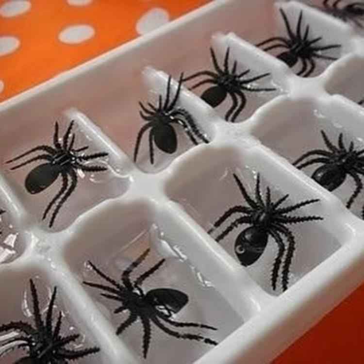 formas de gele com aranhas falsas