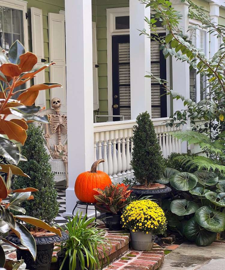 Abóbora grande no meio das plantas em decoração externa de casa para Halloween