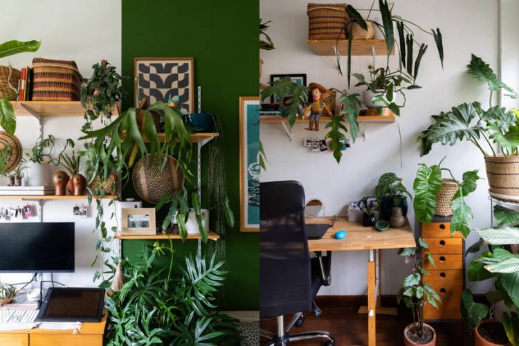 2 ambientes de home office com diversas plantas, tons de verde e madeira, quadros e prateleiras. 
