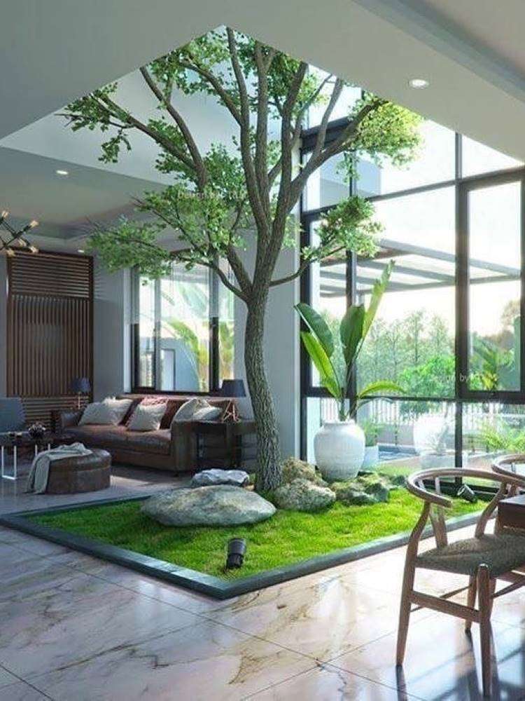 Jardim dentro de casa, com árvore em uma sala de estar iluminada devido a janela sde vidro. 