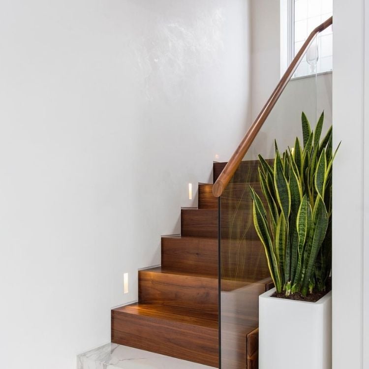 Uma escada marrom com vidro no corrimão e no canto um vaso de planta